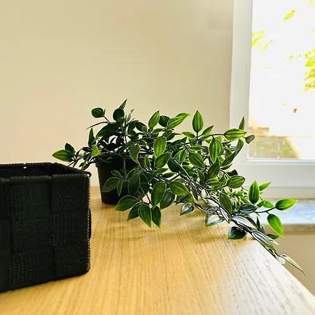 Golden Oasis Apartment *